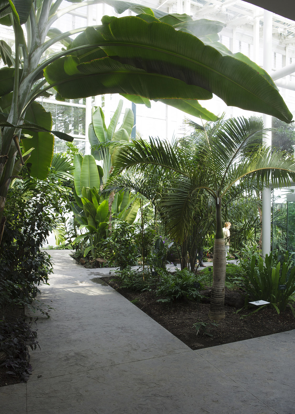 Boden des Botanischen Gartens der Universität Padua ...