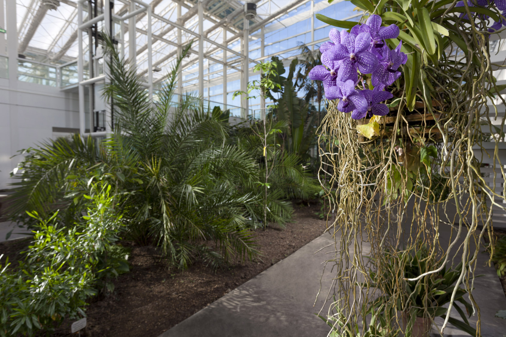 Boden des Botanischen Gartens der Universität Padua Ideal Work