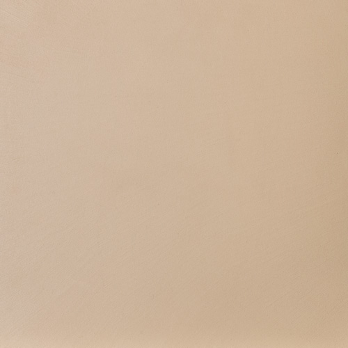 SO-O171 - BEIGE 10g • NEW